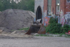 Doornkaat-Gelaende-Abbruch-Abriss-Stadt-Norden-18.09.2022-53