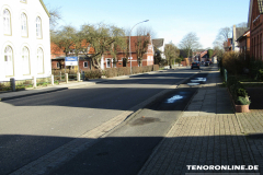 Alleestraße Norden 15.2.2019-2