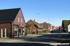 Alleestraße Norden 15.2.2019-4