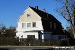 Alleestraße Norden 15.2.2019-5