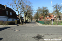 Alleestraße Norden 15.2.2019-6