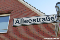Straßenschild Alleestraße Norden 15.2.2019-1