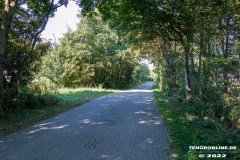 Altendeichsweg-Westermarsch-Stadt-Norden-13.8.2022-18