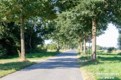 Altendeichsweg-Westermarsch-Stadt-Norden-13.8.2022-5