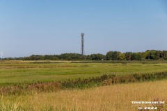 Altendeichsweg-Westermarsch-Stadt-Norden-13.8.2022-7