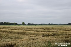 Getreidefeld-Altendeichsweg-Westermarsch-Stadt-Norden-Westermarsch-28.6.19-9