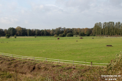 Alter-Postweg-Landwirtschaftsweg-Norden-15.10.2019-2