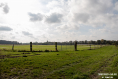 Alter-Postweg-Landwirtschaftsweg-Norden-15.10.2019-22
