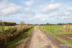 Alter-Postweg-Landwirtschaftsweg-Norden-15.10.2019-24