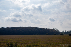 Alter-Postweg-Landwirtschaftsweg-Norden-15.10.2019-9