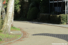 Alter Postweg  Norden März 8.3.2019-1