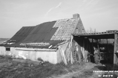 alter Stall Wurzeldeich Norden 1984-3