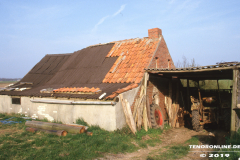 alter Stall Wurzeldeich Norden 1984-7