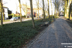 Am Markt Norden 15.2.2019-5