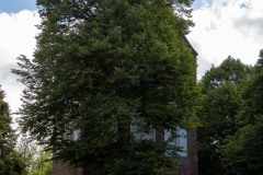 Glockenturm-Am-Markt-Stadt-Norden-Ostfriesland-9.7.2025-16