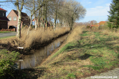 An der Sägemühle 26506 Norden März 15.3.2019-2