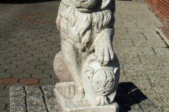 Löwe Straße An der Welle Norden 15.2.2019-1