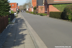 Baumstraße Norden 16.2.2019-1