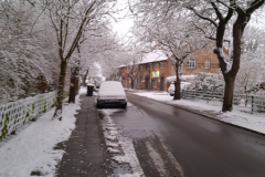 Baumstraße Norden Februar 2019-1