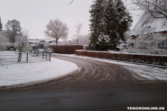 Baumstraße Norden Februar 2019-2