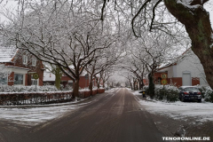 Baumstraße Norden Februar 2019-3
