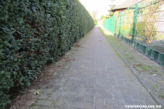 Lohne zum Eibenweg Baumstraße Norden 16.2.2019-1