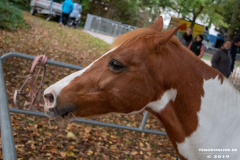 Beestmarkt-Norden-19.10.2019-10