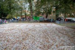 Beestmarkt-Norden-19.10.2019-18