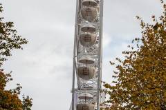 Beestmarkt-Norden-19.10.2019-27