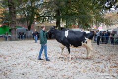 Beestmarkt-Norden-19.10.2019-47