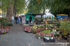 Beestmarkt-Norden-19.10.2019-6