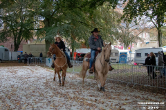 Pferde-und-Ponys-Beestmarkt-Norden-Oktober-19.10.2019-1