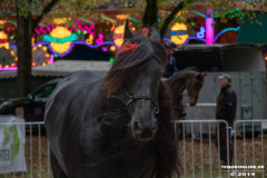 Pferde-und-Ponys-Beestmarkt-Norden-Oktober-19.10.2019-18