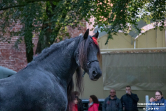 Pferde-und-Ponys-Beestmarkt-Norden-Oktober-19.10.2019-27