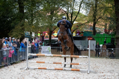 Pferde-und-Ponys-Beestmarkt-Norden-Oktober-19.10.2019-29