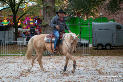 Pferde-und-Ponys-Beestmarkt-Norden-Oktober-19.10.2019-3
