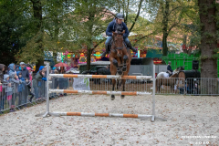 Pferde-und-Ponys-Beestmarkt-Norden-Oktober-19.10.2019-31