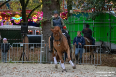 Pferde-und-Ponys-Beestmarkt-Norden-Oktober-19.10.2019-34