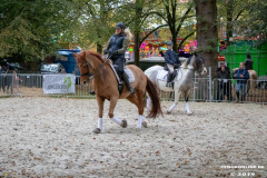 Pferde-und-Ponys-Beestmarkt-Norden-Oktober-19.10.2019-35