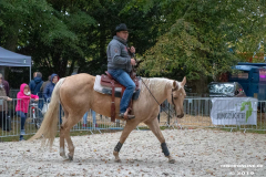 Pferde-und-Ponys-Beestmarkt-Norden-Oktober-19.10.2019-36
