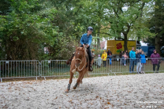Pferde-und-Ponys-Beestmarkt-Norden-Oktober-19.10.2019-37
