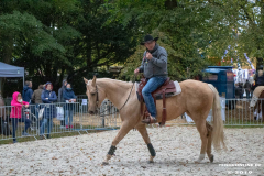 Pferde-und-Ponys-Beestmarkt-Norden-Oktober-19.10.2019-38