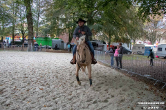 Pferde-und-Ponys-Beestmarkt-Norden-Oktober-19.10.2019-39