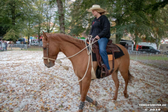 Pferde-und-Ponys-Beestmarkt-Norden-Oktober-19.10.2019-4