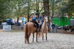 Pferde-und-Ponys-Beestmarkt-Norden-Oktober-19.10.2019-41
