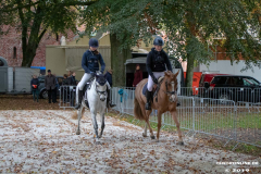Pferde-und-Ponys-Beestmarkt-Norden-Oktober-19.10.2019-5
