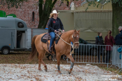 Pferde-und-Ponys-Beestmarkt-Norden-Oktober-19.10.2019-6