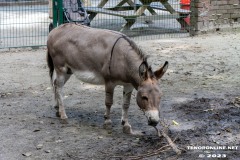 Birgits-Tiergarten-Streichelzoo-und-Parkanlage-in-Rechtsupweg-19.7.2023-101