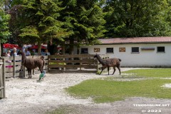 Birgits-Tiergarten-Streichelzoo-und-Parkanlage-in-Rechtsupweg-19.7.2023-104