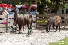 Birgits-Tiergarten-Streichelzoo-und-Parkanlage-in-Rechtsupweg-19.7.2023-106
